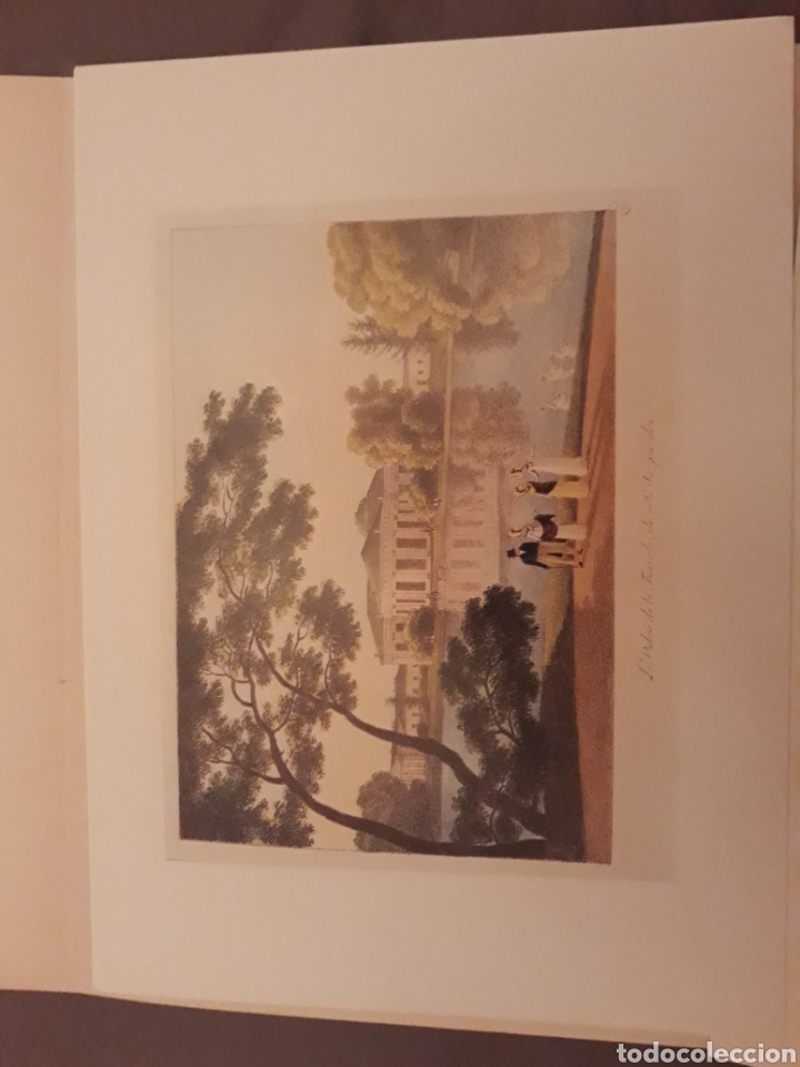 Arte: San Petesburgo - Foto 3