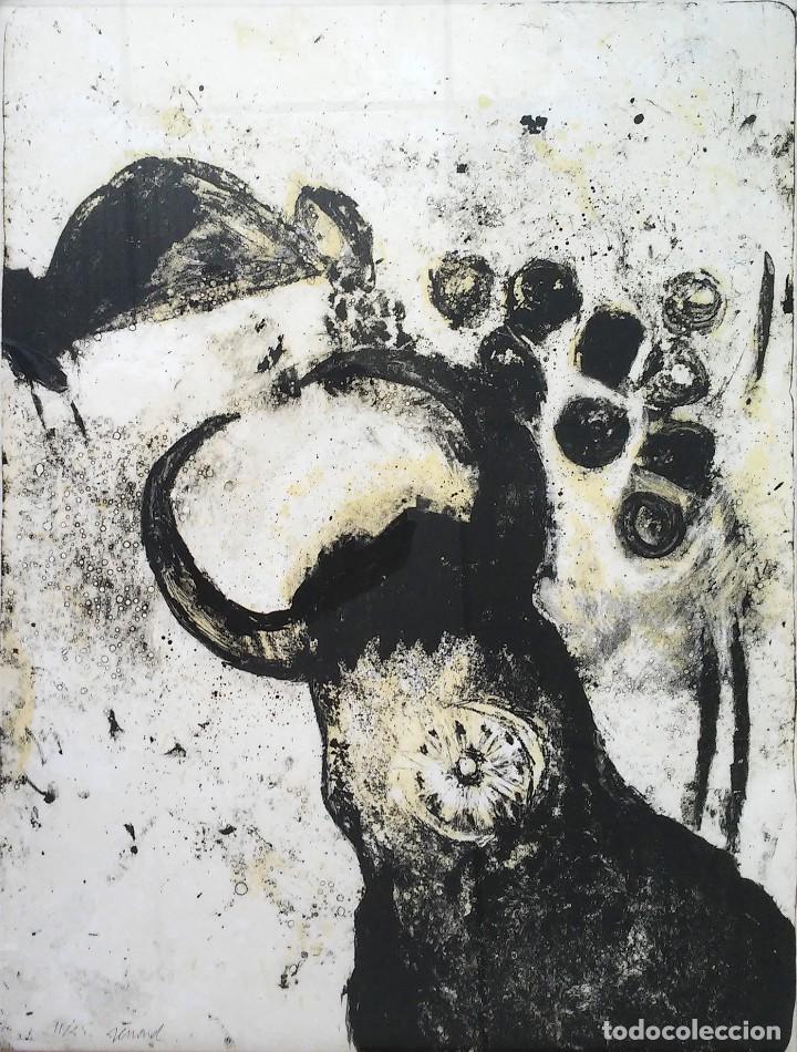 Arte: litograf&iacute;a de emmanuelle renard - Foto 1