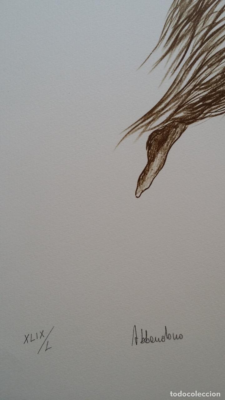 Arte: Litografia firmada y numerada - Foto 3
