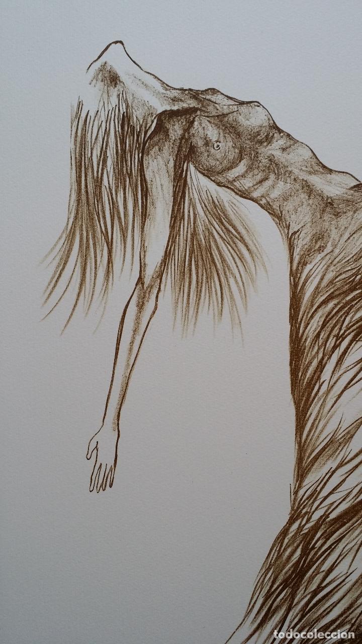 Arte: Litografia firmada y numerada - Foto 5