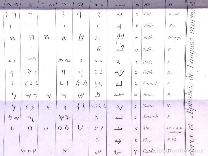 Arte: ALPHABETS. L&Aacute;MINA N&ordm; 70 - Foto 2
