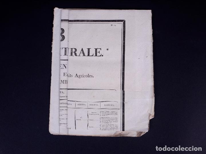 Arte: TABLEAU DES PARTIES QUI CONSTITUENT L'ECONOMIE RURALE. PARIS 1805