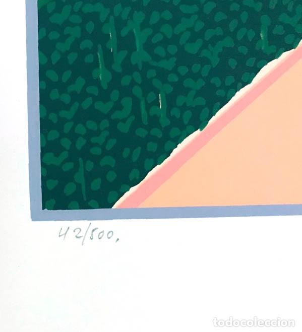Arte: PARRILLA - Foto 2