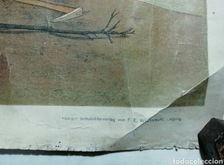 Arte: LITOGRAFIA A COLOR LEIPZIGER - Foto 12