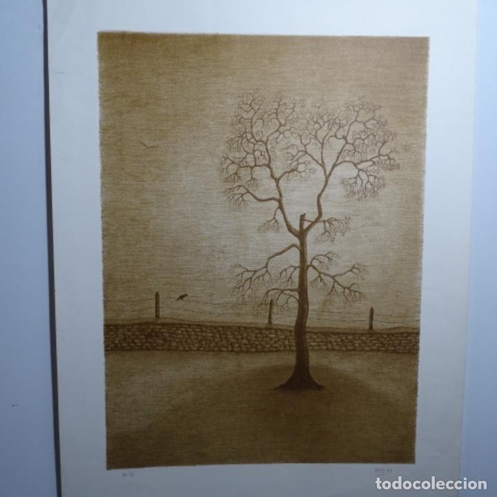 Arte: Litograf&iacute;a firmada pitus 79.33/75 - Foto 2