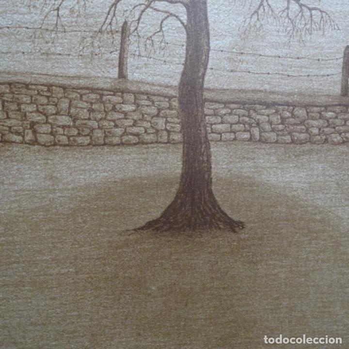 Arte: Litograf&iacute;a firmada pitus 79.33/75 - Foto 6