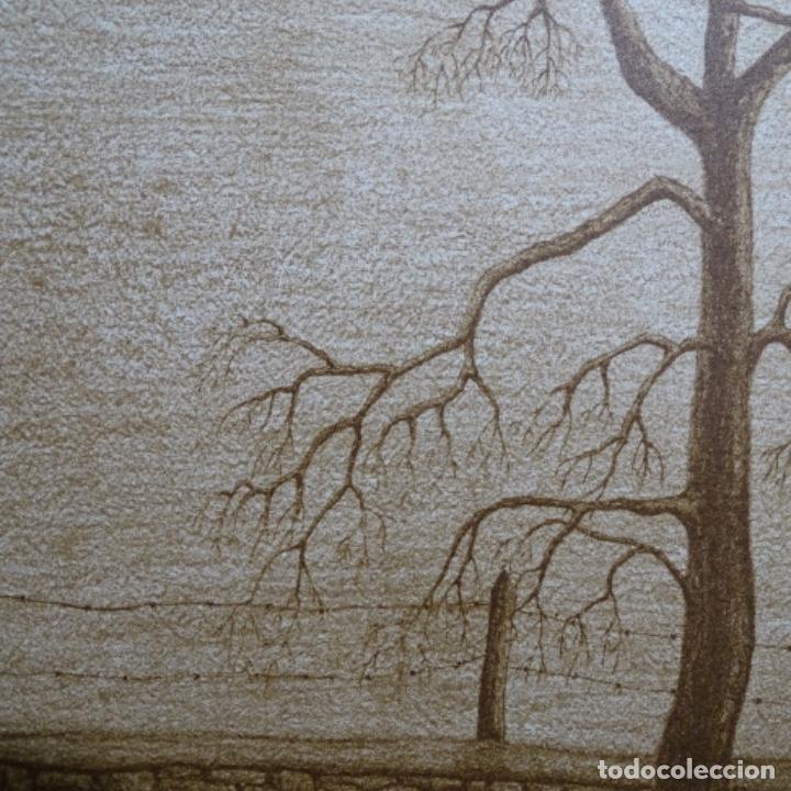 Arte: Litograf&iacute;a firmada pitus 79.33/75 - Foto 7