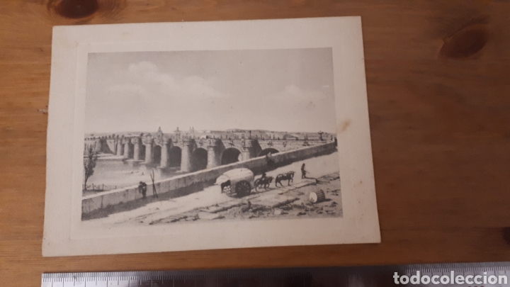 Art: Litograf&iacute;a Cant&iacute;n S.A.