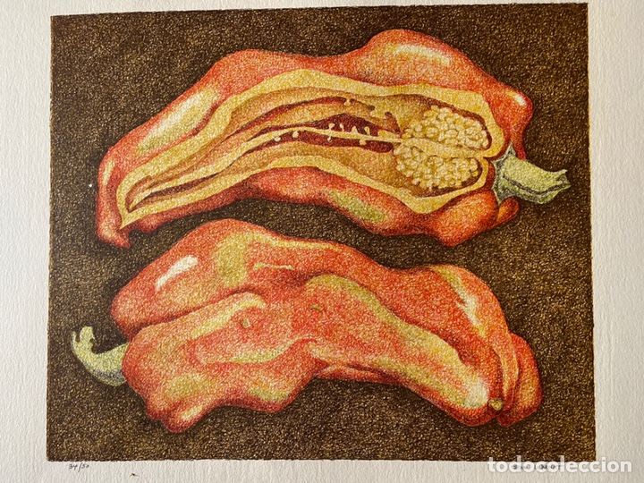 Arte: John Ulbricht - Foto 2
