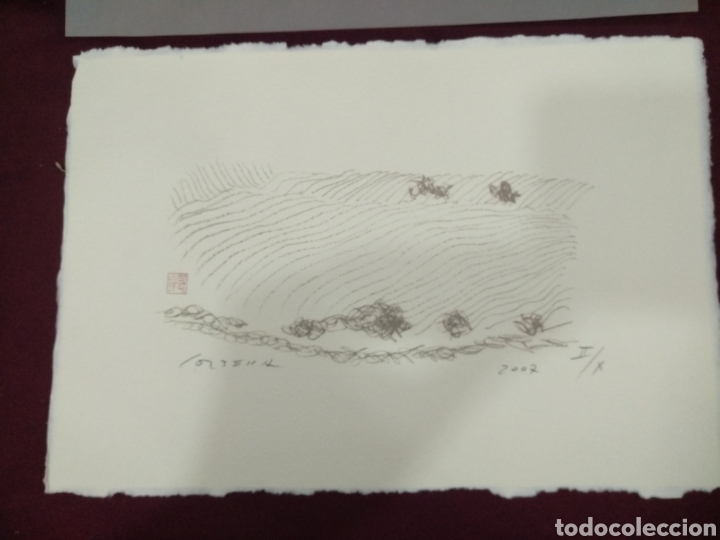 Arte: Litograf&iacute;a Domenec Cornell&aacute; . Numerada y firmada. - Foto 3