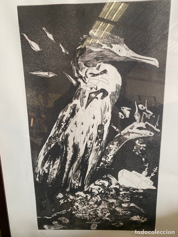 Arte: Litograf&iacute;a enmarcada - Foto 2