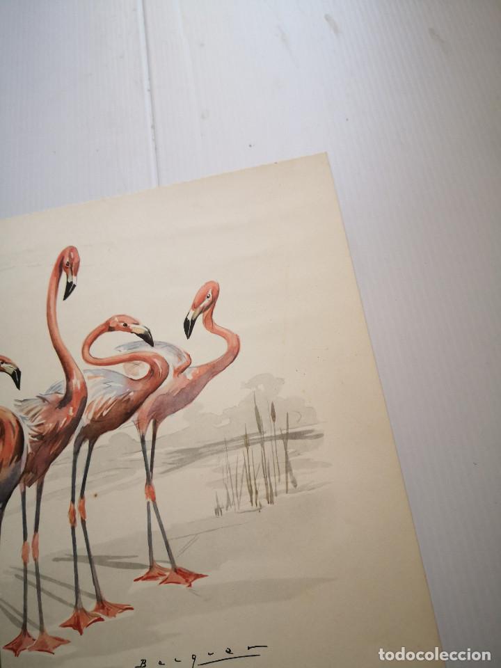 Arte: LITOGRAFIA FLAENCO BERQUE - Foto 3