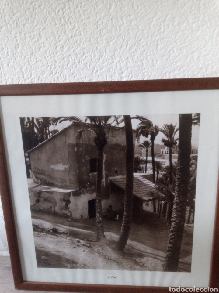 Arte: Bonito cuadro de Elche - Foto 1