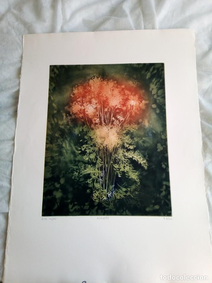 Arte: Litografia original P/A - Grabado litografico Titulo Alicante/autor France Hilon