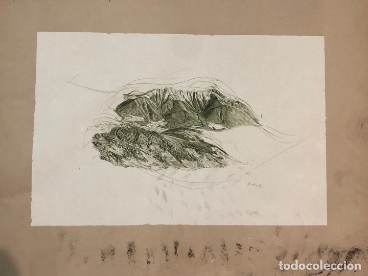 Art: Paisaje monta&ntilde;oso firmado 59x47,5cm