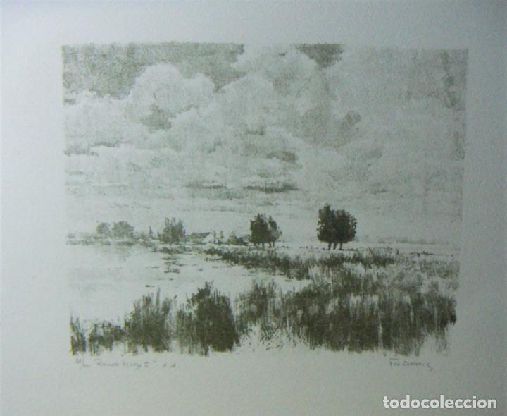 Arte: Litografia firmada Tim Ansens - Foto 5
