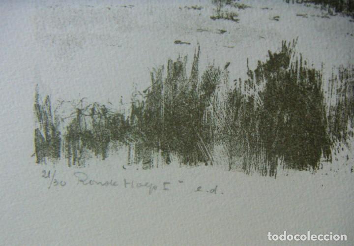 Arte: Litografia firmada Tim Ansens - Foto 6