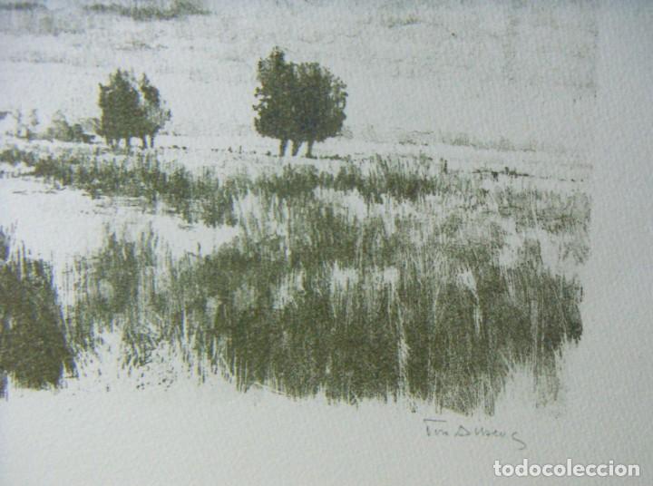 Arte: Litografia firmada Tim Ansens - Foto 7