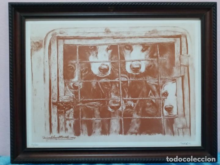 Arte: Miguel Angel Bedate- lamina perros caceria- numerada y firmada a lapiz