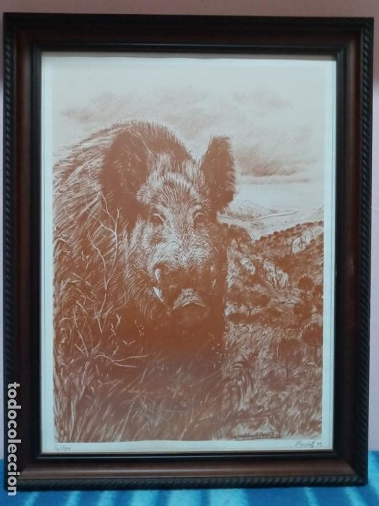 Arte: Miguel Angel Bedate- lamina caceria jabali- firmada y numerada a lapiz