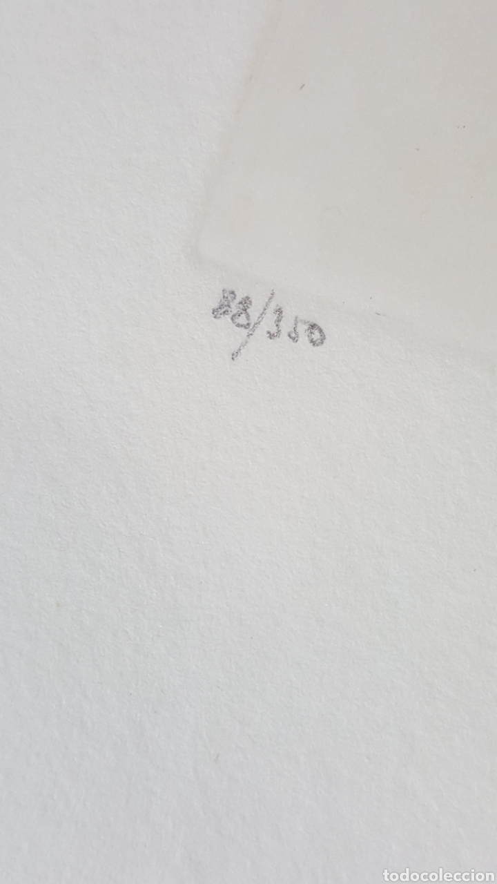 Arte: LITOGRAF&Iacute;A E3 R. MEBLELINCH &rdquo;BAILE EN EL CIELO&rdquo; - Foto 9
