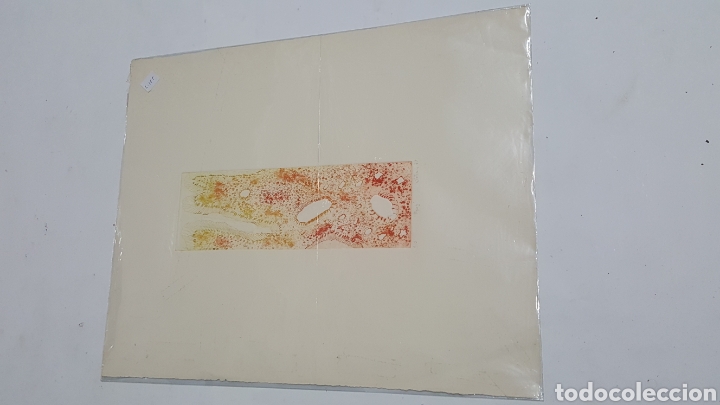 Arte: LITOGRAF&Iacute;A DE JETIAS &rdquo;TAPIZ&rdquo; - Foto 2