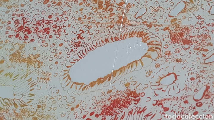 Arte: LITOGRAF&Iacute;A DE JETIAS &rdquo;TAPIZ&rdquo; - Foto 4