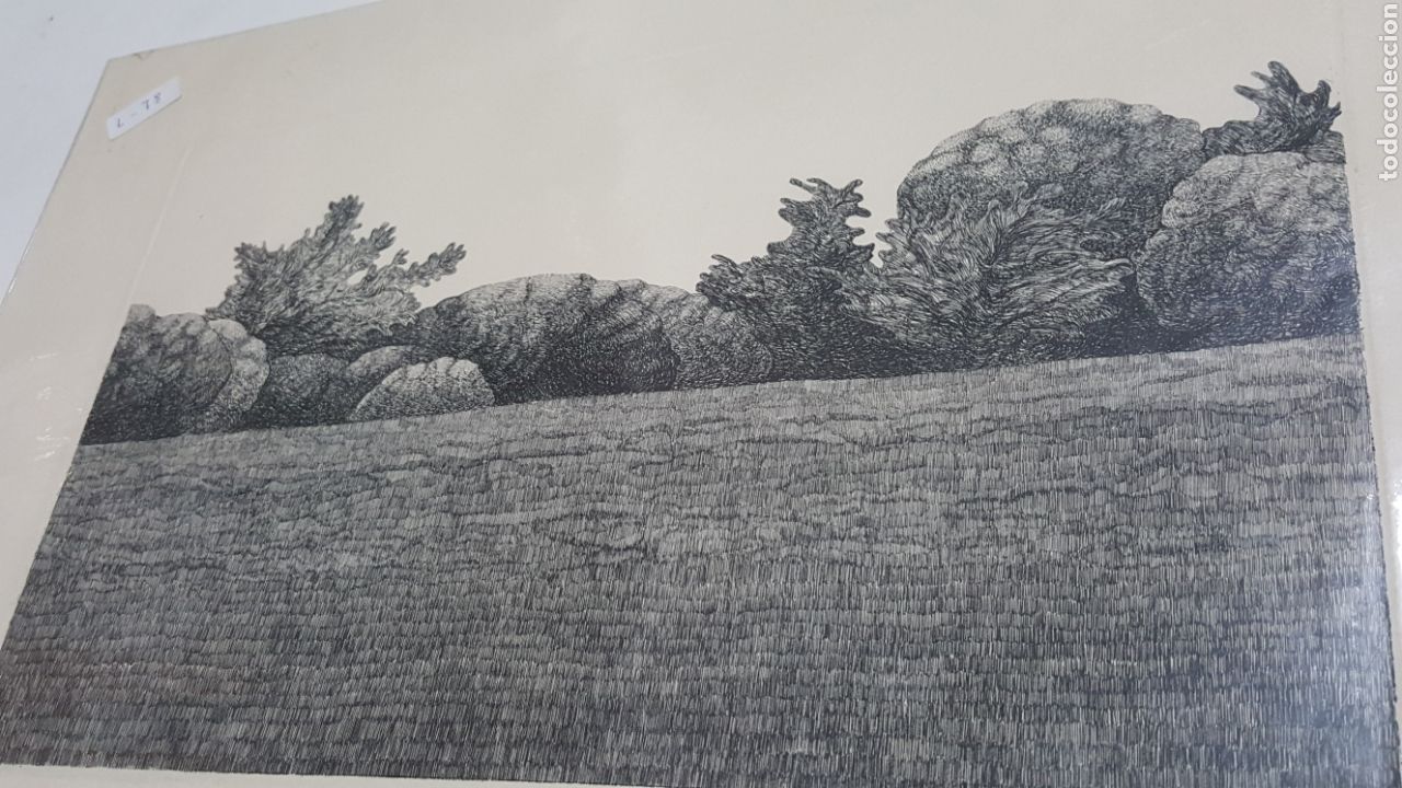 Arte: AGUAFUERTE DE ROSA BIADIU &rdquo;PAISAJE VEGETAL&rdquo;