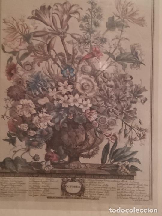 Arte: Lamina con florero a partir de un grabado del S. XVIII