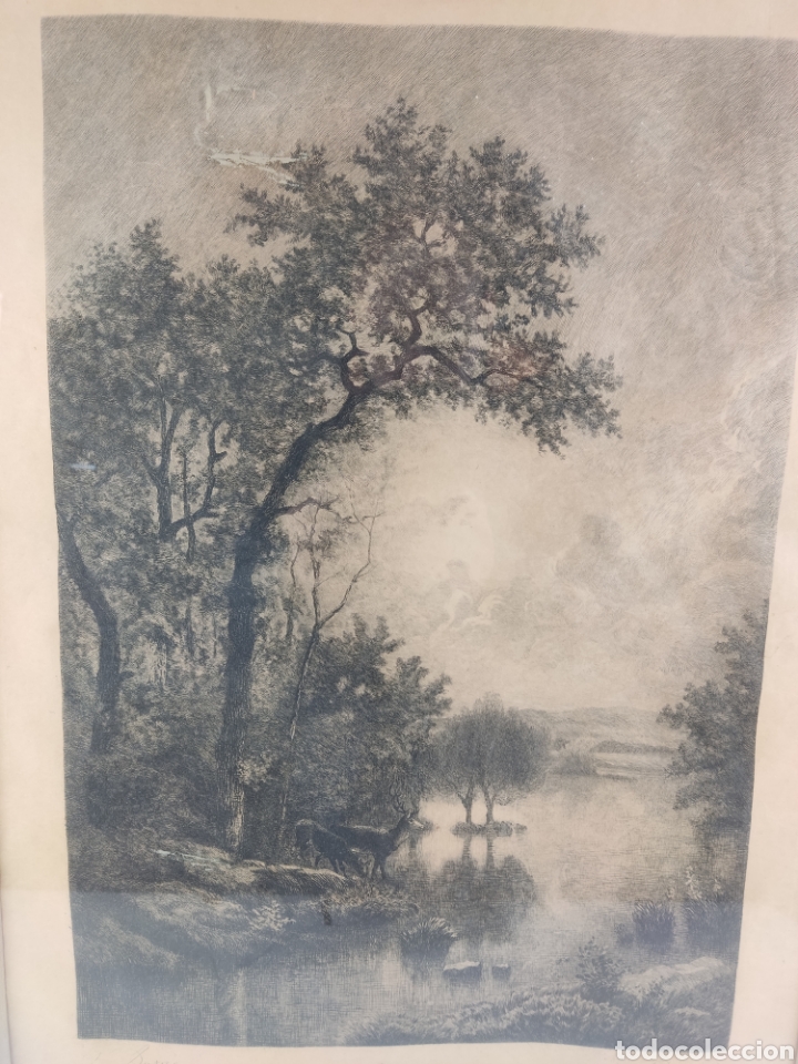 Zus&auml;tzliches Foto 3