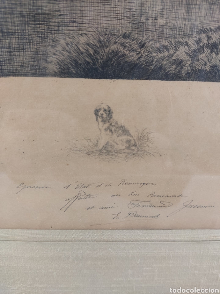 Zus&auml;tzliches Foto 5