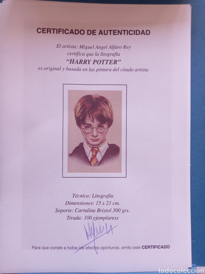 Arte: Harry Potter - Foto 2
