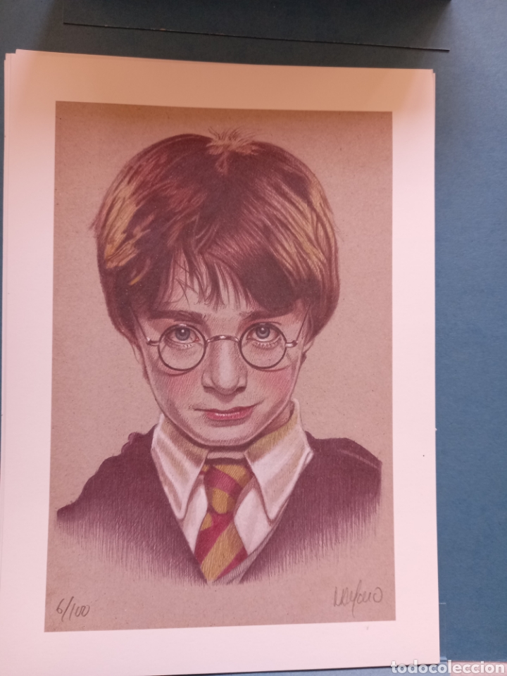 Arte: Harry Potter - Foto 1
