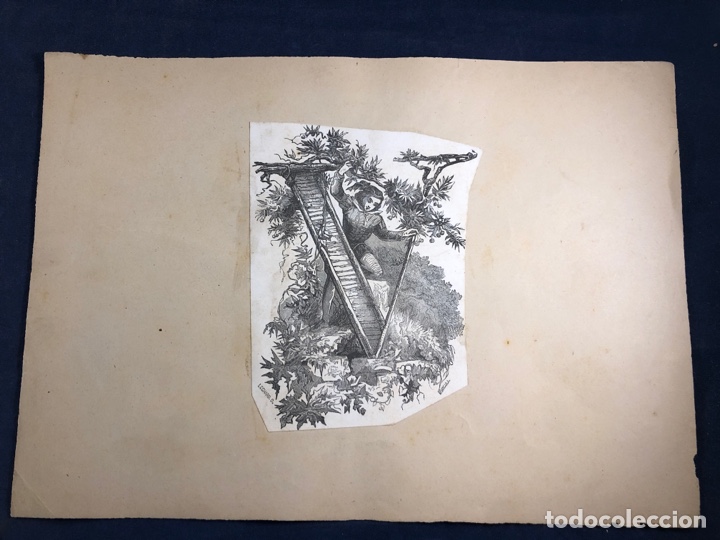 Kunst: Litograf&iacute;a abecedario letra A