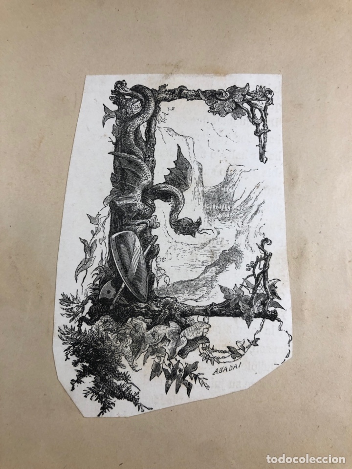 Arte: Litograf&iacute;a abecedario letra E - Foto 2