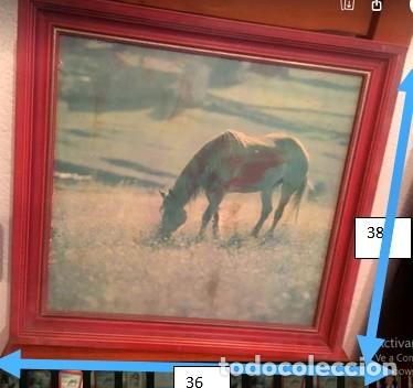 Arte: CABALLO SOLITARIO.LAMINA SOBRE TABLA,. AUTOR DESCONOCIDO.