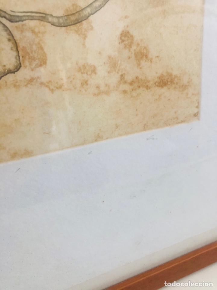Arte: Litograf&iacute;a, SEBI SUBIROS - Foto 2
