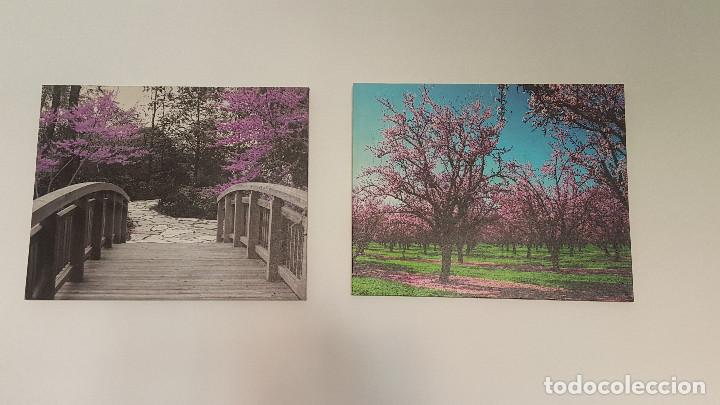 Art: 2 CUADROS PAISAJES IMPRESO SOBRE LIENZO