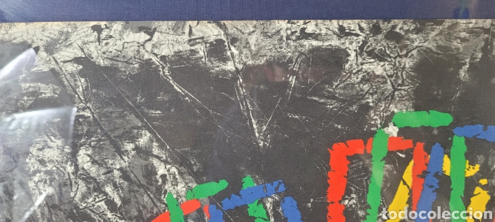 Arte: Litograf&iacute;a de Robert llim&oacute;s tirada de 99 - Foto 12