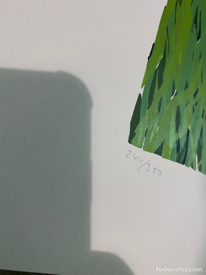 Arte: Litograf&iacute;a - Foto 3