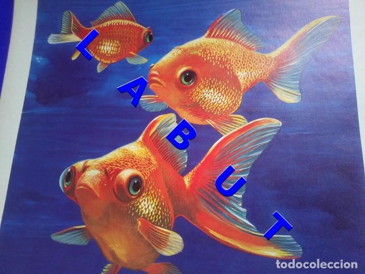 Arte: PEZ DORADO TELESCOPICOS LITOGRAFIA 40 CM FIRMADA FEDERICO C1C