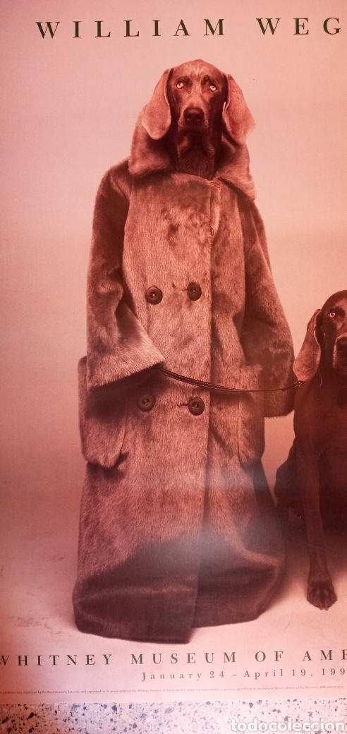 Arte: WILLIAM WEGMAN GRAN CARTEL - Foto 3