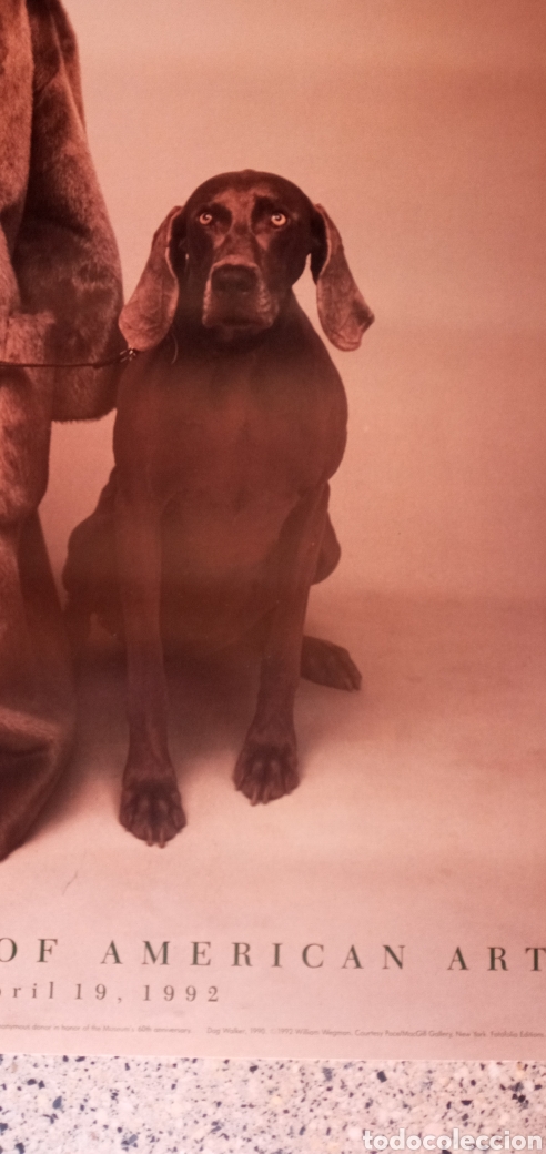 Arte: WILLIAM WEGMAN GRAN CARTEL - Foto 4