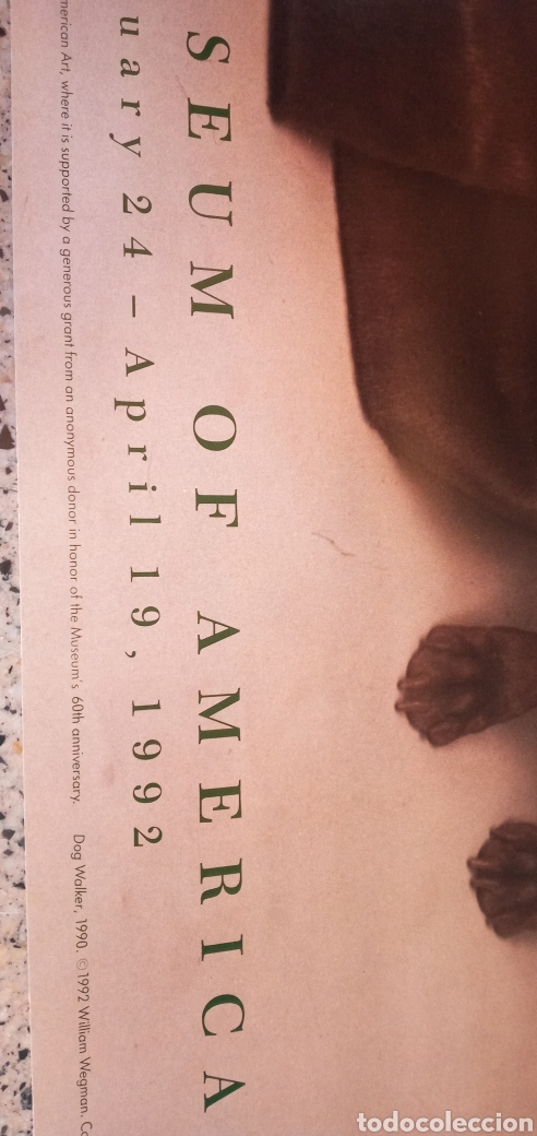 Arte: WILLIAM WEGMAN GRAN CARTEL - Foto 5