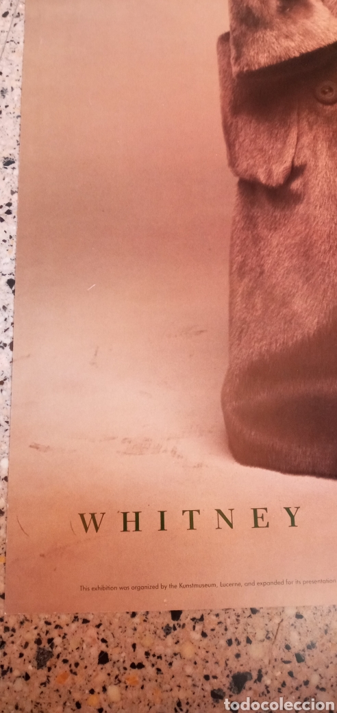 Arte: WILLIAM WEGMAN GRAN CARTEL - Foto 7