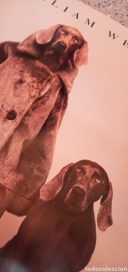 Arte: WILLIAM WEGMAN GRAN CARTEL - Foto 8