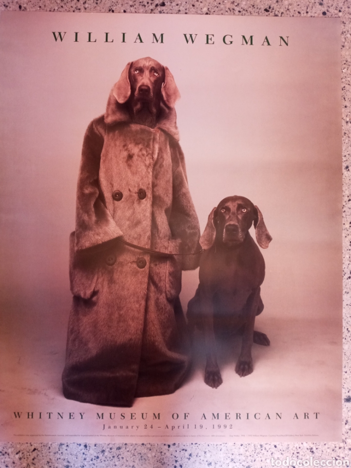 Arte: WILLIAM WEGMAN GRAN CARTEL - Foto 2