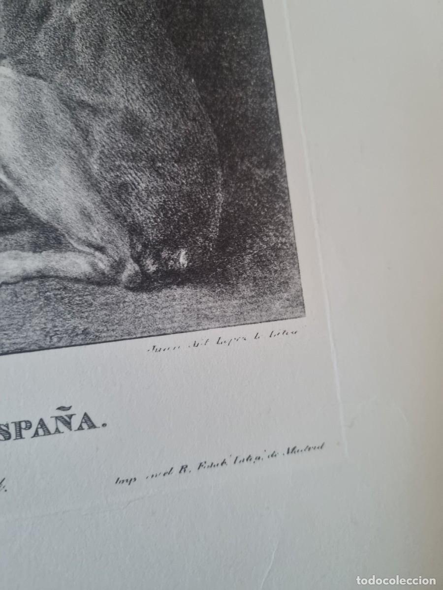 Arte: LITOGRAFIA FERNANFO DE AUSTRIA - Foto 5