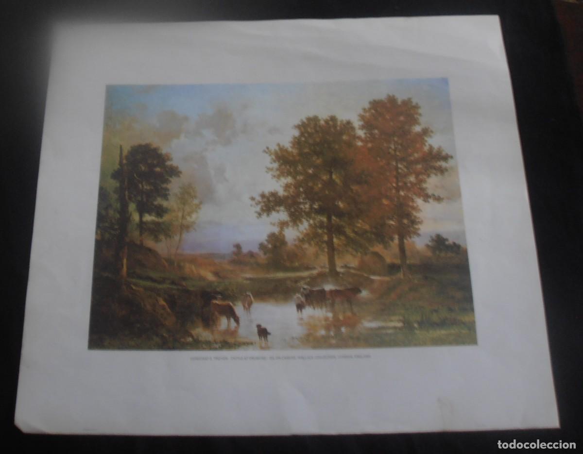 Arte: LITOGRAFIA, CONSTANT E. TROYON - CATTLE AT DRINKING - Foto 2