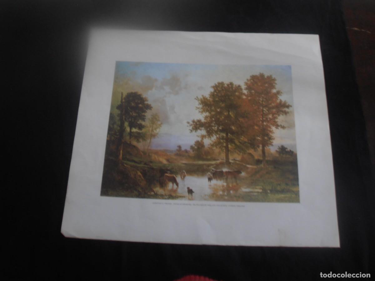 Arte: LITOGRAFIA, CONSTANT E. TROYON - CATTLE AT DRINKING - Foto 3